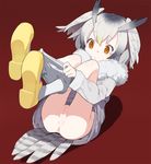  ass bangs brown_eyes cleft_of_venus coat doremi eyebrows_visible_through_hair full_body fur_collar gradient_hair grey_hair head_wings kemono_friends long_sleeves lying multicolored_hair no_panties northern_white-faced_owl_(kemono_friends) pantyhose pantyhose_pull pulled_by_self pussy red_background shoe_soles shoes solo tail white_hair white_legwear yellow_footwear 