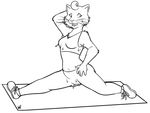  anthro bojack_horseman breasts camel_toe cat clothed clothing crop_top exercise feline female h_(artist) mammal monochrome princess_carolyn shirt solo sweat whiskers yoga yoga_mat yoga_pants 