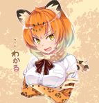  :d animal_ears black_neckwear black_ribbon blonde_hair breast_pocket breasts buttons cropped_torso crossed_arms eyebrows eyebrows_visible_through_hair eyes_visible_through_hair fang frilled_sleeves frills fur_collar gradient_hair imu_sanjo jaguar_(kemono_friends) jaguar_ears jaguar_print kemono_friends large_breasts looking_at_viewer multicolored multicolored_background multicolored_hair neck_ribbon open_mouth orange_hair outdoors outline pocket ribbon shiny shiny_hair shiny_skin shirt short_hair short_sleeves smile solo spotted_hair translated tree tsurime upper_body v-shaped_eyebrows white_outline white_shirt yellow_eyes 