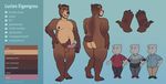  bear brown_bear brown_fur facial_hair fan_character fur junga mammal model_sheet pubes slightly_chubby 