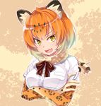  :d animal_ears black_neckwear black_ribbon blonde_hair breast_pocket breasts buttons cropped_torso crossed_arms eyebrows eyebrows_visible_through_hair eyes_visible_through_hair fang frilled_sleeves frills fur_collar gradient_hair imu_sanjo jaguar_(kemono_friends) jaguar_ears jaguar_print kemono_friends large_breasts looking_at_viewer multicolored multicolored_background multicolored_hair neck_ribbon open_mouth orange_hair outdoors outline pocket ribbon shiny shiny_hair shiny_skin shirt short_hair short_sleeves smile solo spotted_hair tree tsurime upper_body v-shaped_eyebrows white_outline white_shirt yellow_eyes 