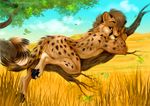  2017 cheetah detailed_background feline feral fur kashmere lying male mammal pawpads ritkat sky smile solo 
