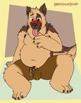  2017 anthro belly big_belly blush bulge canine claws clothing digital_media_(artwork) dog duo erection fur fuzzy german_shepherd hair handsdownhound living_clothing male mammal navel open_mouth overweight precum simple_background slightly_chubby smile tongue tongue_out transformation underwear 