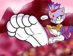  2017 anthro blaze_the_cat cat cornchip21 feline female foot_focus mammal solo sonic_(series) tails-chan 