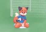  anthro ball balls blush canine child circumcised clothing cub cum diaper erection felix fox humanoid_penis male mammal pacifier penis slightly_chubby soccer soccer_ball solo sport young 