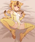  animal_ears blonde_hair blush bracelet breasts brown_eyes brown_hair cameltoe circlet covered_navel covered_nipples ear_blush elbow_gloves gloves golden_snub-nosed_monkey_(kemono_friends) gradient_hair jewelry kemono_friends leotard long_hair lying monkey_ears multicolored_hair nose_blush on_back open_mouth orange_gloves orange_hair ponytail small_breasts solo spread_legs sumiyao_(amam) thighhighs yellow_gloves yellow_legwear yellow_leotard 