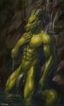  2017 5_fingers abs anthro balls bathing biceps chunie claws detailed_background digital_media_(artwork) dragon eyes_closed flaccid green_scales hi_res horn humanoid_penis male muscular muscular_male nude outside partially_submerged pecs penis rock scales scalie solo standing uncut vein water waterfall wet 