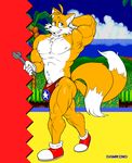  2017 abs anthro biceps bulge canine clothing dawmino footwear fox hands_behind_head invalid_tag male mammal miles_prower muscular muscular_male navel pecs pubes shoes smile solo sonic_(series) speedo swimsuit tools wrench 