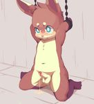  anthro balls blue_eyes blush bound brown_fur child cub cum cum_string fur humanoid_penis kneeling lagomorph mammal moki penis pink_nose rabbit tan_fur uncut young 