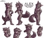  2017 alex_(harmarist) animal_genitalia anthro balls black_nose brown_eyes butt canine character_name child cub cute_fangs ears_down english_text expressions eyebrows freckles front_view frown fully_sheathed fur fur_markings grey_fur hair hand_on_chest hands_on_hips harmarist looking_at_viewer male mammal markings navel nude open_mouth open_smile rear_view sheath simple_background smile solo standing text white_background wolf young 