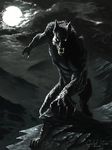  2017 angry anthro black_fur black_nose canine claws fangs full_moon fur greyscale long_claws looking_at_viewer male mammal monochrome moon muscular night outside sharp_teeth simple_background solo sucevic_bojan teeth were werewolf white_eyes wolf 