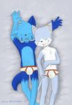  anthro armpits blue_fur briefs brown_fur bulge cat child clothed clothing cub eyes_closed feline fur grey_fur hazumazu lying male mammal navel on_back open_mouth sleeping topless underwear white_fur young 