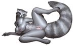  2017 anthro anus areola big_breasts black_fur breasts butt chest_tuft clitoris female fur grey_fur hawkilla looking_at_viewer mammal multi_nipple nipples nude pink_nipples presenting presenting_anus presenting_pussy pussy raccoon raised_leg simple_background smile solo spread_legs spreading stripes teats tuft white_background 