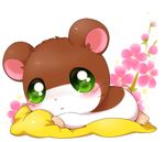  bedding blanket blush brown_fur female feral flower fur green_eyes hamster hamtaro_(series) looking_at_viewer lying mammal penelope_(hamtaro) plant rodent simple_background solo whiskers white_background white_fur young アイミ 