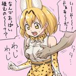  animal_ears animal_print bare_shoulders blonde_hair bow bowtie breast_grab cross-laced_clothes disembodied_limb elbow_gloves extra_ears eyebrows_visible_through_hair gloves grabbing hair_between_eyes kemono_friends ogry_ching open_mouth pink_background serval_(kemono_friends) serval_ears serval_print shirt sleeveless sleeveless_shirt teeth tongue translation_request yellow_eyes 