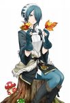  blue_hair fire_emblem leaf setsuna tagme 