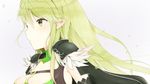  bad_id bad_pixiv_id bangs black_gloves breasts cloak closed_mouth commentary_request elbow_gloves elsword eyebrows_visible_through_hair from_side gloves green_hair grey_background hair_between_eyes long_hair looking_to_the_side medium_breasts night_watcher_(elsword) pauldrons petals pointy_ears rena_(elsword) sagoshi simple_background solo upper_body yellow_eyes 