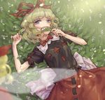  black_shirt blonde_hair blue_eyes blurry bow bowtie eyebrows_visible_through_hair fairy_wings flower hair_bow hair_ribbon lily_of_the_valley looking_at_viewer lying medicine_melancholy meimaru_inuchiyo on_back puffy_short_sleeves puffy_sleeves red_bow red_neckwear red_ribbon red_skirt ribbon ribbon-trimmed_clothes ribbon-trimmed_shirt ribbon-trimmed_skirt ribbon_trim shirt short_hair short_sleeves skirt solo su-san touhou transparent_wings wavy_hair wings 