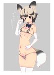  african_wild_dog_(kemono_friends) african_wild_dog_print alternate_costume animal_ears bikini black_eyes black_hair blush bow bowtie breasts commentary_request dog_ears dog_tail elbow_gloves gloves gradient_hair grey_hair highres kemono_friends looking_at_viewer micro_bikini mudou_eichi multicolored_hair navel short_hair simple_background sketch small_breasts solo swimsuit tail thighhighs translation_request two-tone_hair white_gloves white_legwear 