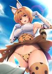  :d ahoge animal_ears armpits ass_visible_through_thighs bangs blonde_hair blue_sky blush breasts cloud commentary cowboy_shot day elbow_gloves gloves hat hat_feather highres kaban_(kemono_friends) kemono_friends large_breasts lens_flare multiple_girls navel open_mouth panties paw_pose print_gloves print_legwear print_panties print_skirt serval_(kemono_friends) serval_ears serval_print serval_tail short_hair sideboob skirt sky smile stomach sweat tail thighhighs tony_guisado underwear white_hat wind wind_lift yellow_eyes 
