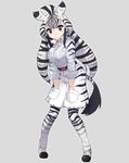  animal_ears animal_print bad_id bad_nicoseiga_id belt black_eyes black_hair breast_pocket breasts chapman's_zebra_(kemono_friends) cibo_(killy) collared_shirt commentary_request dot_nose eyelashes grey_background grey_hair hands_in_pockets highres kemono_friends large_breasts long_hair looking_at_viewer multicolored_hair partially_unbuttoned pocket safari_jacket shirt shoes shorts simple_background sleeves_rolled_up solo standing striped striped_clothes striped_legwear striped_shorts tail white_hair white_shirt wing_collar zebra_ears zebra_print zebra_tail 