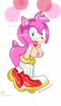  amy_rose coolblue sonic_(series) tagme 