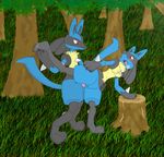  3_fingers 3_toes anthro anthro_on_anthro balls blue_fur blush breasts breath claws duo erection fangs female fur grass leg_glider_position legs_up lucario male male/female mammal multicolored_fur nintendo nipples outside penetration penis pok&eacute;mon raised_leg red_eyes sex toes tongue tongue_out tree unknown_artist vaginal vaginal_penetration video_games wood yellow_fur 