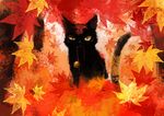  autumn bell black_cat cat cat_focus falling_leaves jingle_bell leaf maple_leaf mouth_hold no_humans original oropi uneven_eyes yellow_sclera 