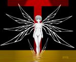  lilith neon_genesis_evangelion ranwolf rei_ayanami tagme 