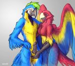  2017 animal_genitalia anthro avian balls beak bird black_feathers blue_eyes blue_feathers breasts duo english_text eye_contact ezcett feathered_wings feathers featureless_breasts female green_hair grey_background hair hand_on_penis humanoid_penis macaw male male/female nude parrot penis red_feathers sheath simple_background smile text wings yellow_feathers 