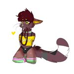  anthro bulge cat cleo cleokitty cleophone clothing collar croptop feline girly leash legwear male male/male mammal simple_background socks white_background 