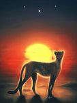  ambiguous_gender brown_eyes cheetah day feline feral fur mammal outside paws safiru sky solo spots spotted_fur sun 