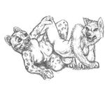  2016 anthro anthro_on_anthro breasts canine duo feline female female/female fur looking_back low_res lysargente mammal monochrome nipples open_mouth open_smile panther sex simple_background smile spots spotted_fur spread_legs spreading tribadism white_background wolf 