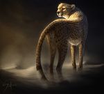  amber_eyes ambiguous_gender black_nose cheetah dumari feline feral fur mammal safiru spots spotted_fur standing tan_fur whiskers 