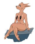  anthro better_version_at_source bikini bracelet breasts butt canine cheek_tufts clothed clothing dog doggomeatball female jewelry licking mammal nipple_bulge skimpy sling_bikini solo swimsuit tongue tongue_out 