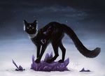  ambiguous_gender black_fur black_nose cat crystals feline feral fur mammal outside safiru solo standing 
