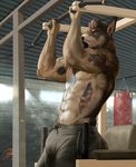  abs anthro armpits biceps bulge canine clothing dog exercise finn_shepard flag male mammal muscular pants pull_ups solo tattoo workout zorro_re 