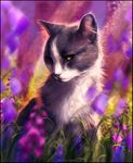  ambiguous_gender blurred_background cat digital_media_(artwork) feline feral flower fur grass grey_fur mammal plant solo tamberella white_fur yellow_eyes 