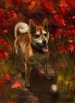  ambiguous_gender baseball_(disambiguation) black_nose brown_fur canine digital_media_(artwork) dog feral fur grass mammal open_mouth paws shiba_inu solo standing tamberella teeth tongue 