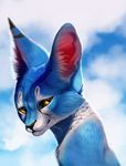  black_nose blue_fur cat day digital_media_(artwork) feline feral fur inner_ear_fluff mammal sky smile solo tamberella whiskers yellow_eyes 