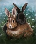  ambiguous_gender black_eyes black_fur brown_fur day digital_media_(artwork) duo feral flower fur grass lagomorph mammal outside plant rabbit tamberella 