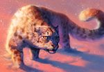  digital_media_(artwork) feline feral leopard mammal outside snow snow_leopard snowing solo standing tamberella whiskers yellow_eyes 