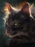  ambiguous_gender cat digital_media_(artwork) feline feral fur grey_fur mammal solo tamberella whiskers 