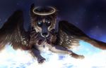  ambiguous_gender black_nose brown_feathers canine digital_media_(artwork) dog feathered_wings feathers feral halo looking_at_viewer lying mammal night paws sky solo star starry_sky tamberella wings 