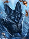  2017 ambiguous_gender blue_fur canine digital_media_(artwork) eyes_closed feral fish flashw fox fur group mammal marine partially_submerged smile water 