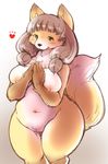  breasts brown_hair fox furry green_eyes long_hair nipples open_mouth setouchi_kurage 