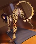  2017 absurd_res all_fours anthro anus breasts butt cat cheetah detailed_background feline female hi_res licking licking_lips looking_back mammal nipples paws presenting presenting_hindquarters pussy raised_tail solo spots surody tongue tongue_out totesfleisch8 