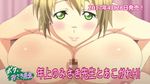  animated animated_gif areolae boku_to_misaki-sensei breasts censored huge_breasts large_areolae looking_at_viewer nipples paizuri pov 