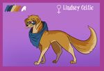  alorix canine clothing dog face_paint female feral golden_retriever lindsey_celtic mammal 