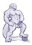  alligator anthro balls crocodilian erection humanoid_penis jaysee male muscular penis reptile scalie sketch solo standing 